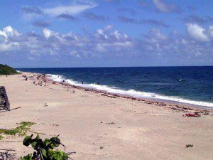 beach