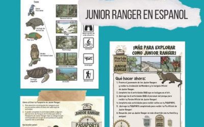Spanish-Translated Junior Ranger Kits Now Available in Print at 27 Florida State Parks