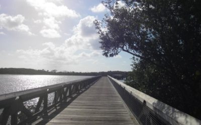 27 Amazing State Parks in Florida That Show Off The State's Natural Beauty