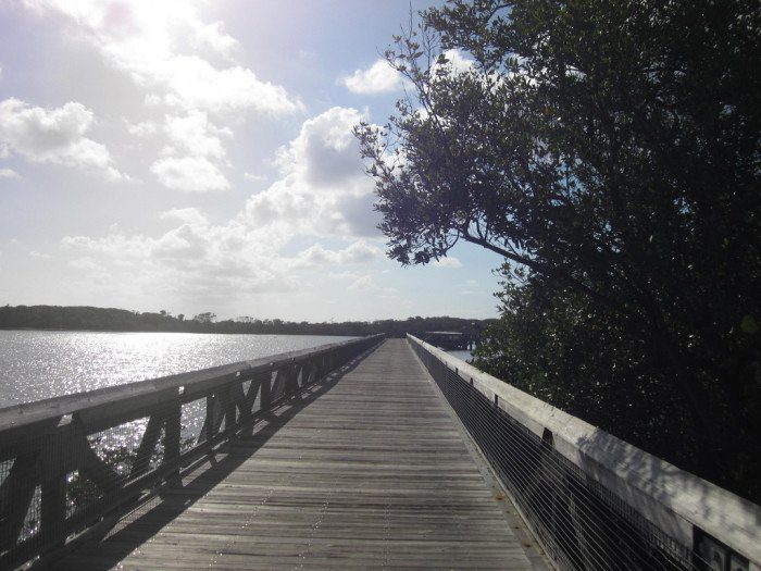 27 Amazing State Parks in Florida That Show Off The State’s Natural Beauty