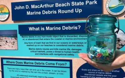 Local park takes hands-on approach in fight against plastic in ocean