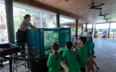 Sea Turtle Grants Program Boosts Sea Turtle Education and Protection at Two Florida State Parks