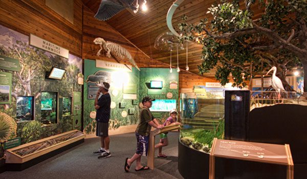 The Nature Center features an estuary tank that changes with the tides!
